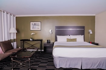 Executive Studio Suite