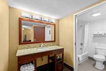Suite, 1 King Bed with Sofa bed, Non Smoking