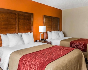 Standard Room, 2 Double Beds, Non Smoking