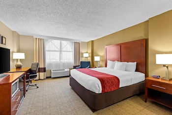 Standard Room, 1 King Bed, Non Smoking