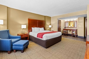 Suite, 1 King Bed with Sofa bed, Non Smoking