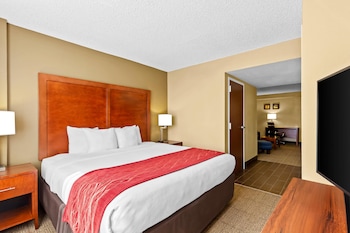 Suite, 1 King Bed with Sofa bed, Non Smoking