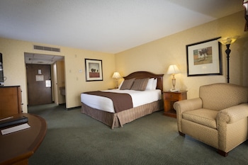 Room, 1 King Bed with Sofa bed, Accessible