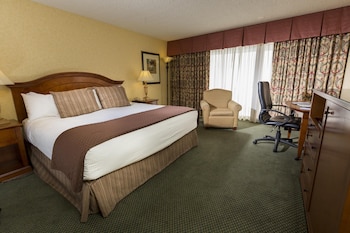 Room, 1 King Bed with Sofa bed, Accessible