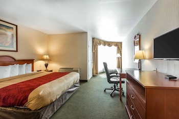 Suite, 1 King Bed with Sofa bed, Non Smoking