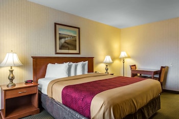 Room, 1 King Bed, Smoking