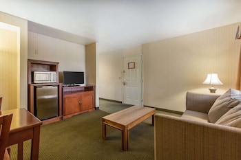 Suite, 1 King Bed with Sofa bed, Non Smoking