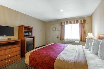 Room, 1 King Bed, Smoking