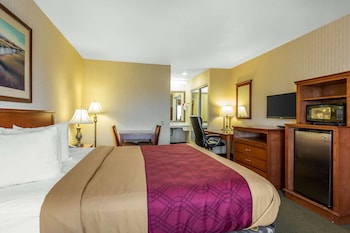 Room, 1 King Bed, Smoking