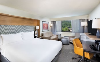 Standard Room, 1 King Bed, Mountain View