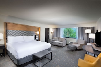 Standard Room, 1 King Bed, Mountain View