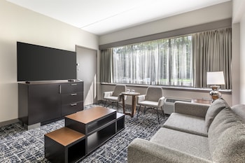 Premium Suite, 1 King Bed with Sofa bed