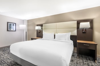 Junior Studio Suite, 1 King Bed