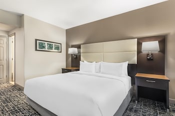 Deluxe Room, 1 King Bed with Sofa bed