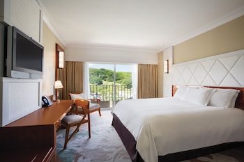Room, 1 King Bed, Accessible (Roll-in Shower)