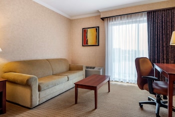 Suite, 1 King Bed, Refrigerator, River View (with Sofabed)