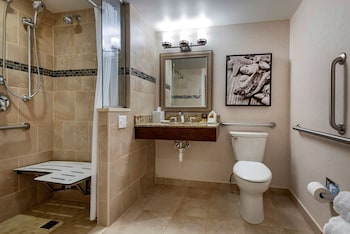 Standard Room, 1 Queen Bed, Accessible, Bathtub