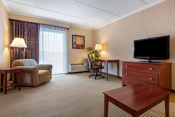 Suite, 1 King Bed, Refrigerator, River View (with Sofabed)