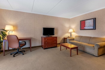 Suite, 1 King Bed, Refrigerator, River View (with Sofabed)