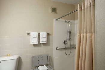 Room, 1 King Bed, Accessible, Non Smoking (Mobility, Roll-In Shower)