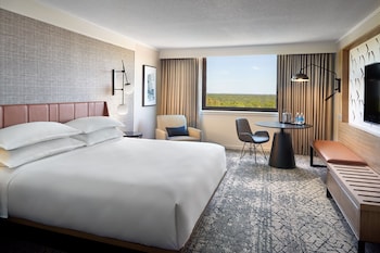 Traditional Room, 1 King Bed (Mobility/Hearing Accessible, Tub)