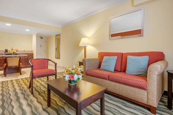 Suite, 1 King Bed, Accessible, Non Smoking (Walk-in Shower;with Sofabed)