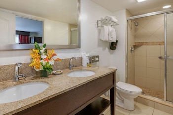 Standard Room, 1 King Bed, Non Smoking, Refrigerator & Microwave (Shower Only)