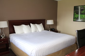 Superior Studio Suite, 1 King Bed, Non Smoking, Ocean View