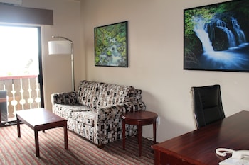 Studio Suite, 1 King Bed, Non Smoking, Ocean View