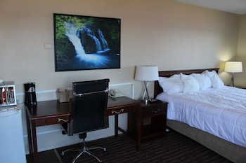 Superior Studio Suite, 1 King Bed, Non Smoking, Ocean View