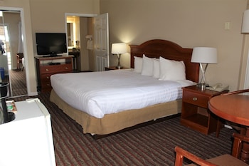 Room, 1 King Bed, Accessible, Non Smoking