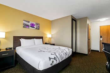 Room, 1 Queen Bed, Accessible, Non Smoking