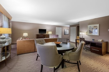 Room, Non Smoking (1 SOFABED PARLOR)