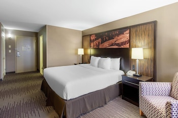 Room, 1 King Bed, Accessible, City View (Mobility, Bathtub)