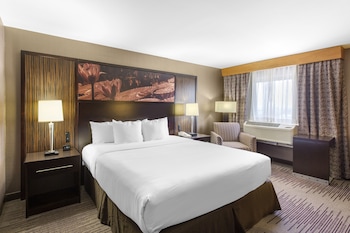 Room, 1 King Bed, Accessible, City View (Mobility, Bathtub)
