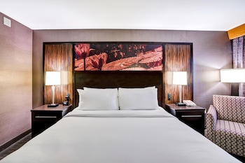 Room, 1 King Bed, Accessible, City View (Mobility, Bathtub)