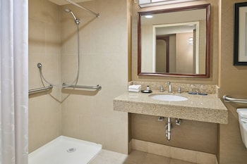 Room, 1 King Bed, Mobility Accessible, Non Smoking (Roll-in Shower)