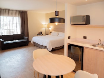 Suite, 1 King Bed