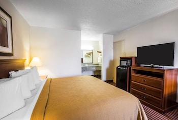 Standard Room, 1 King Bed with Sofa bed, Non Smoking