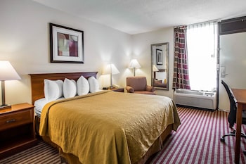 Room, 1 Queen Bed, Non Smoking