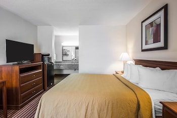 Room, 1 Queen Bed, Non Smoking
