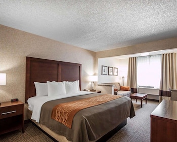 Suite, 1 King Bed with Sofa bed, Non Smoking