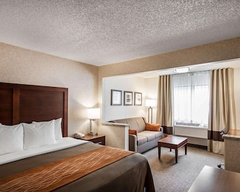 Suite, 1 King Bed with Sofa bed, Non Smoking
