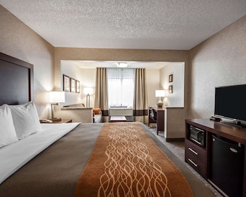 Suite, 1 King Bed with Sofa bed, Non Smoking