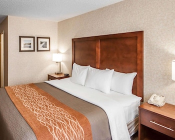 Standard Room, 1 King Bed, Non Smoking