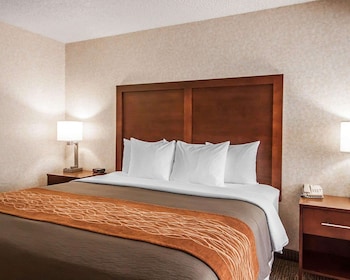 Standard Room, 1 King Bed, Non Smoking