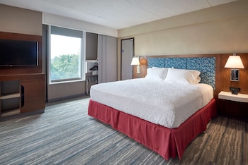 Standard Room, 1 King Bed, Accessible (Mobility & Hearing, Roll-in Shower)
