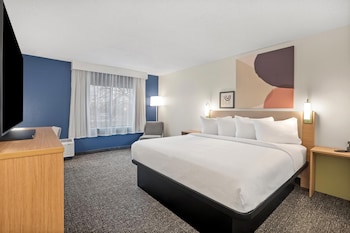 Room, 1 King Bed