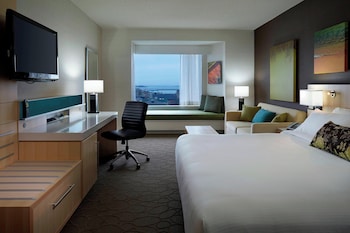 Room, 1 King Bed