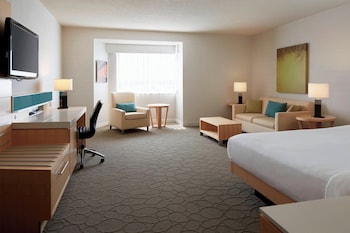 Studio Suite, 1 King Bed with Sofa bed (Kitchenette)